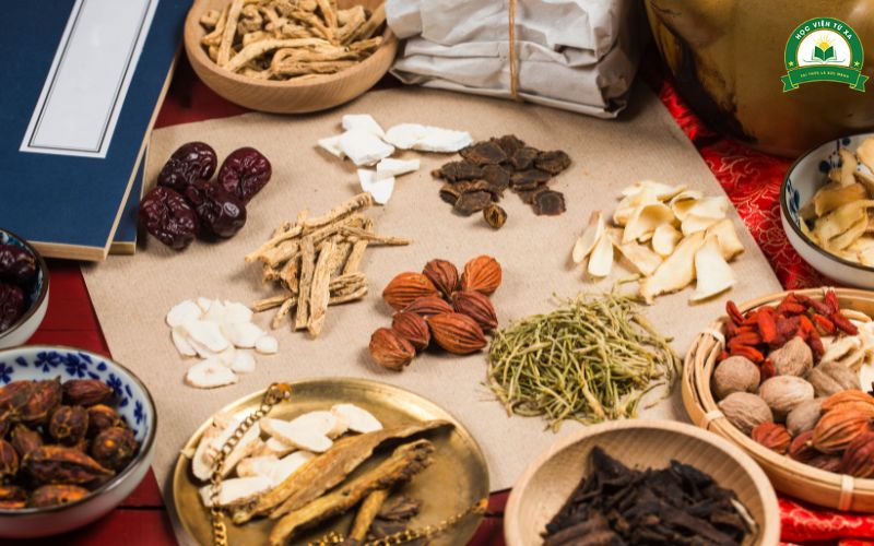 Mục tiêu đào tạo Trung cấp Y học cổ truyền Cấp tốc