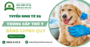 Tuyển sinh Trung cấp Thú y Từ xa mới nhất
