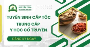 Tuyển sinh Trung cấp Y học cổ truyền Cấp tốc mới nhất