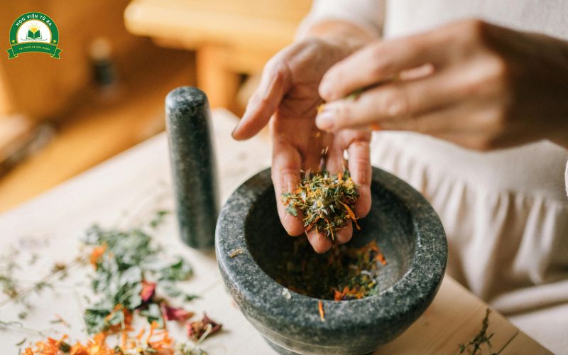 Chương trình Trung cấp Y học cổ truyền Vừa học vừa làm