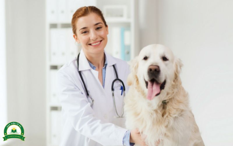 Cơ hội việc làm sau khi học xong Cao đẳng Thú Y