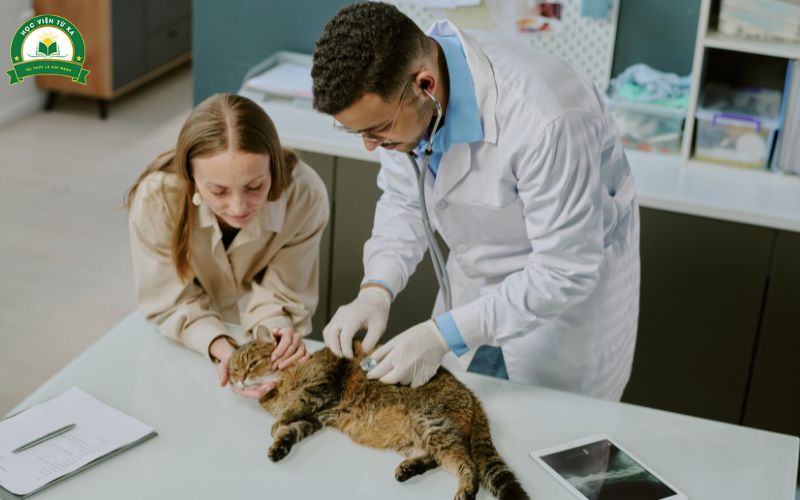 Học phí Trung cấp Thú y Từ xa tại tuyensinhtuxa.edu.vn có đắt không?