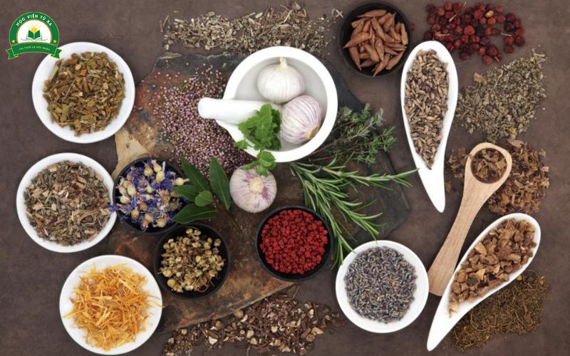 Học Trung cấp Thú y ra trường làm gì?