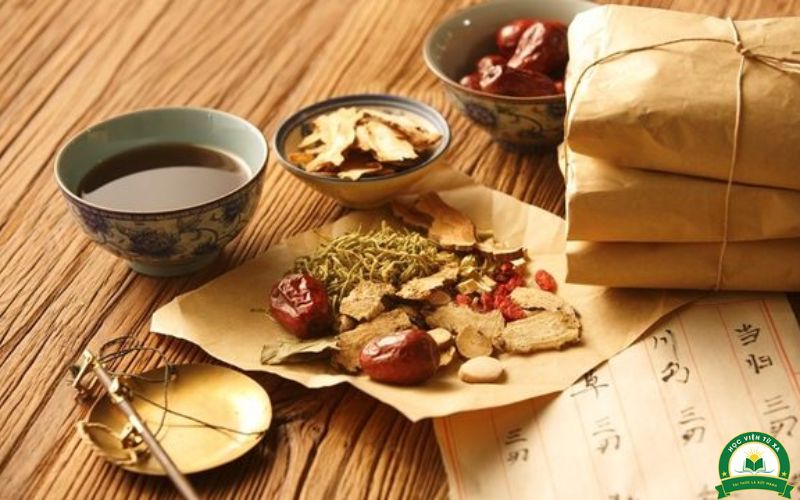 Học Trung cấp Y học cổ truyền vừa học vừa làm có gì?