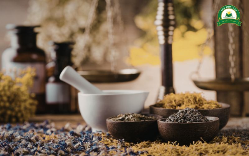 Lợi ích khi học Trung cấp Y học cổ truyền vừa học vừa làm