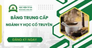 Bằng Trung cấp Y học cổ truyền là gì?