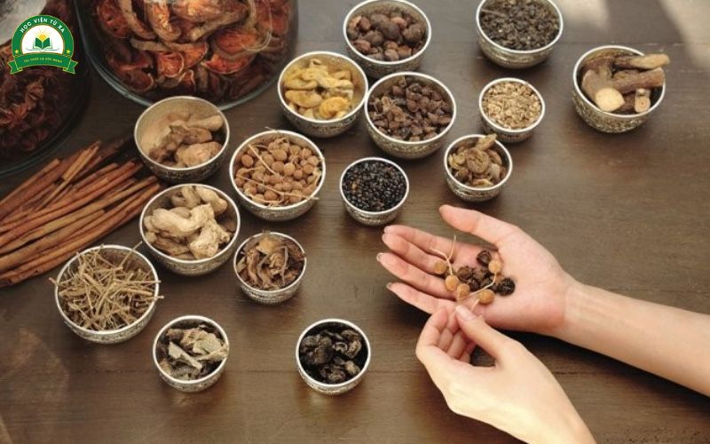 Học Trung cấp Y học cổ truyền tại tuyensinhtuxa.edu.vn như thế nào?