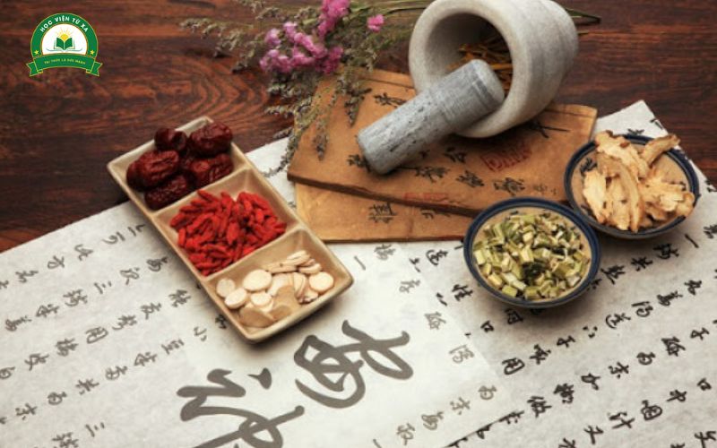 Kiến thức đạt được sau khi học Trung cấp online ngành Y học cổ truyền