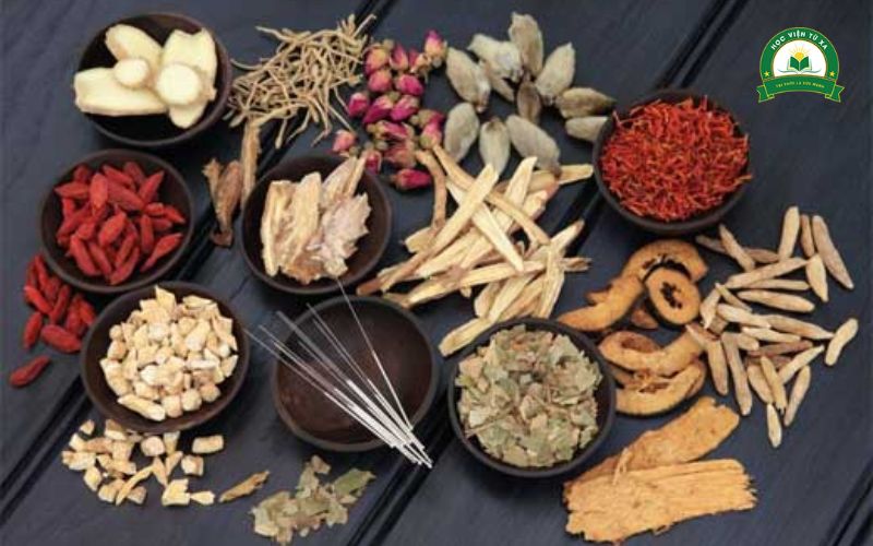 Tổng quan về ngành Y học cổ truyền