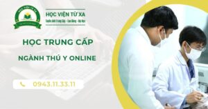 Học Trung cấp ngành Thú Y online tại Bình Phước
