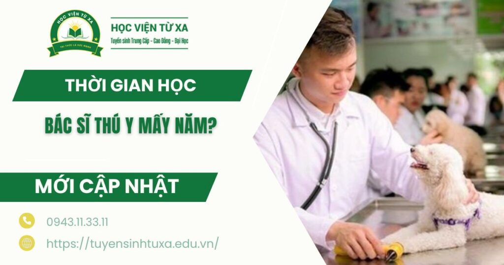 Bác sĩ Thú y học bao nhiêu năm?
