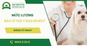 Bác sĩ Thú Y lương bao nhiêu?