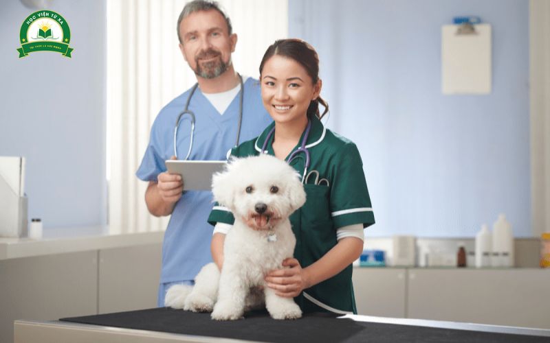 Những yếu tố ảnh hưởng tới lương Bác sĩ Thú Y 