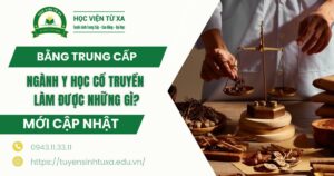 Bằng Trung cấp ngành Y học cổ truyền được làm những gì?