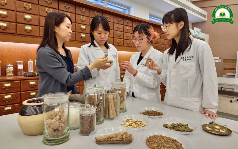 Bằng Trung cấp ngành Y học cổ truyền