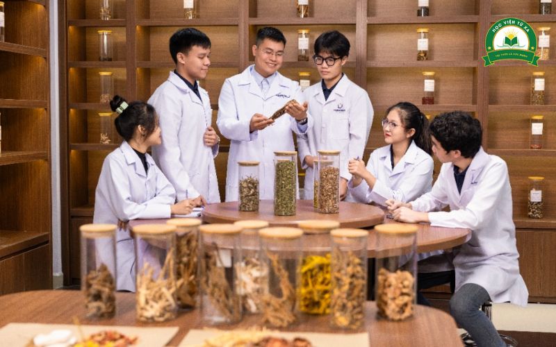 Làm việc tại bệnh viện hoặc phòng khám Y học cổ truyền