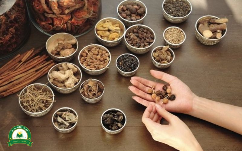 Chương trình đào tạo Trung cấp Y học cổ truyền học cái gì?