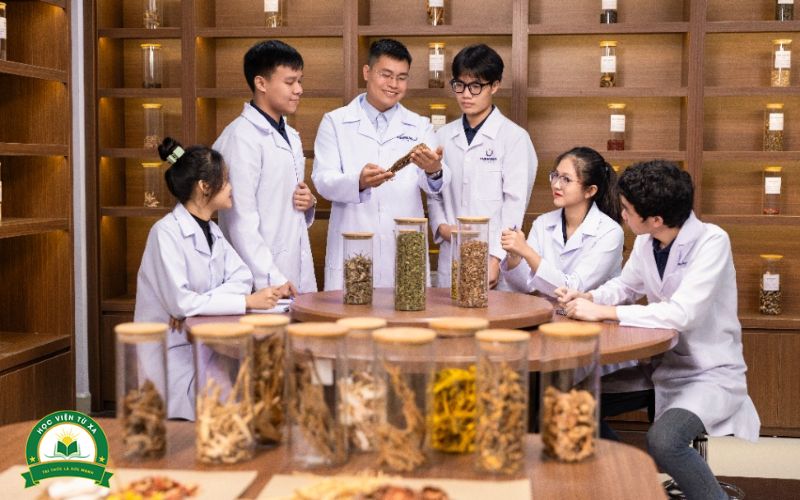 Học Chương trình đào tạo Trung cấp Y học cổ truyền ra làm gì?