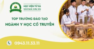 Top Trường đào tạo ngành Y học cổ truyền tại TPHCM