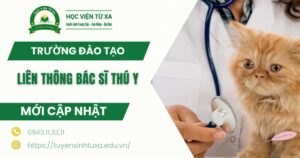 Trường đào tạo liên thông bác sĩ Thú Y tại TPHCM