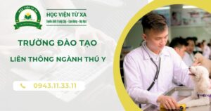 Trường đào tạo liên thông ngành Thú Y khu vực miền Nam