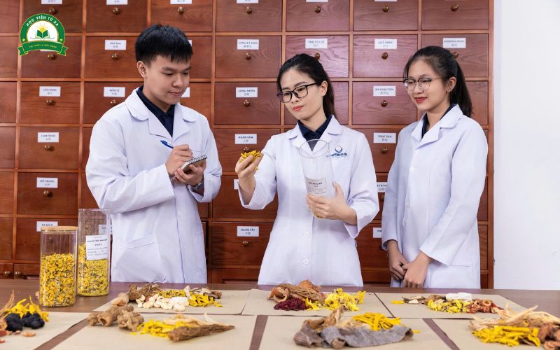 Trường đào tạo ngành Y học cổ truyền là học cái gì?