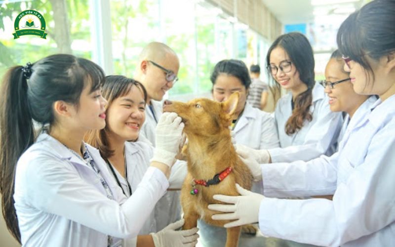 Vì sao nhiều người chọn học Trường đào tạo liên thông ngành Thú Y?