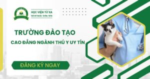 Trường đào tạo Cao đẳng Thú Y uy tín