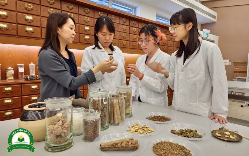 Trường đào tạo Liên thông Bác sĩ Y học cổ truyền nên nhìn vào gì?