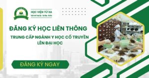 Đăng ký học liên thông Trung cấp ngành Y học cổ truyền lên Đại học