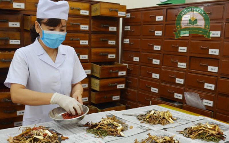 Học liên thông Trung cấp ngành Y học cổ truyền 