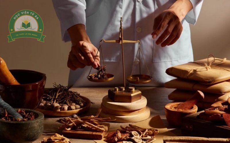 Liên thông Đại học ngành Y học cổ truyền là học những gì?