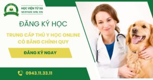Đăng ký học Trung cấp Thú Y học online có bằng Chính quy uy tín