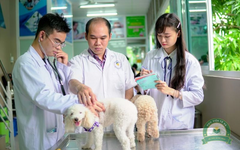 Đi làm cả tuần có học Trung cấp Thú Y học cuối tuần được không?