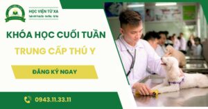 Khóa học Trung cấp Thú Y học cuối tuần dành cho người đi làm