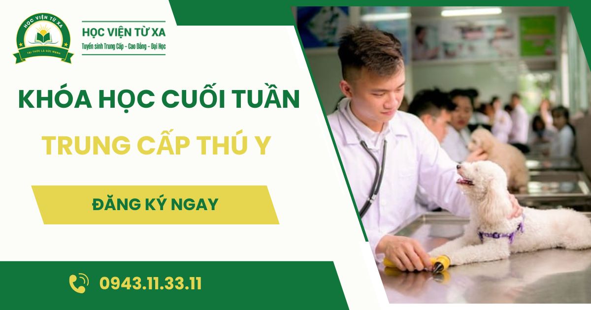 Khóa học Trung cấp Thú Y học cuối tuần dành cho người đi làm