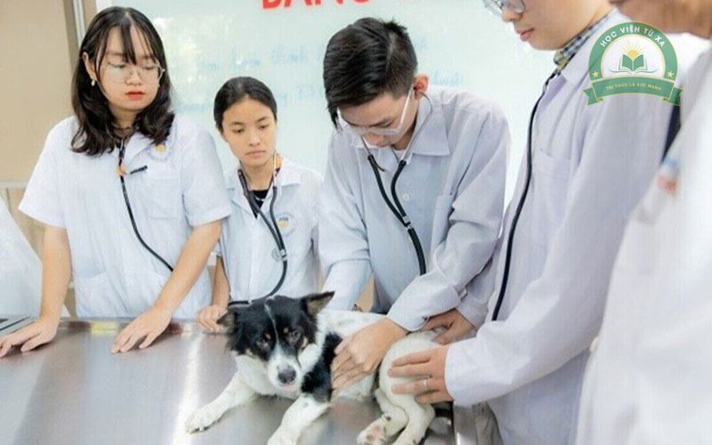 Vì sao Trung cấp Thú Y học cuối tuần ngày càng được nhiều người lựa chọn?