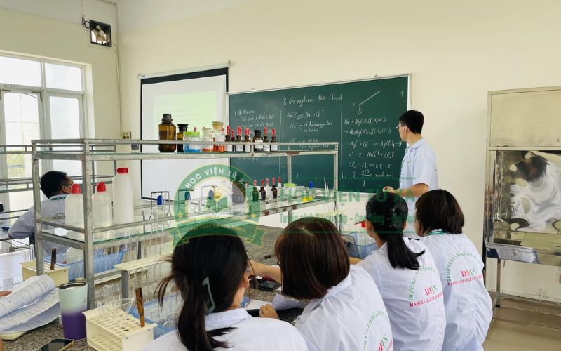 Ngành Dược học cuối tuần xong có thể làm gì?