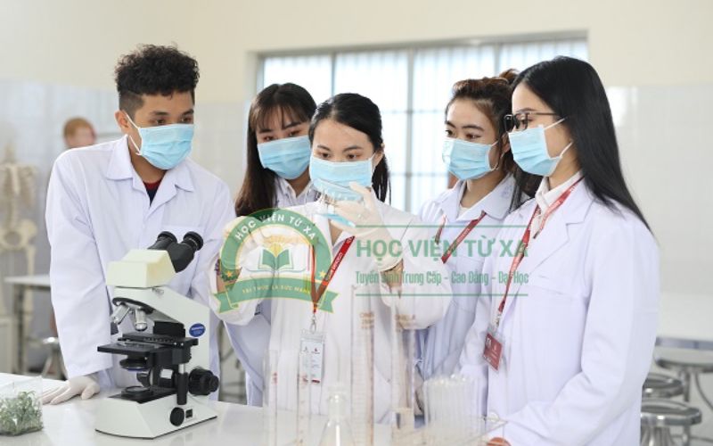 Cao đẳng Dược học online xong có thể làm gì?