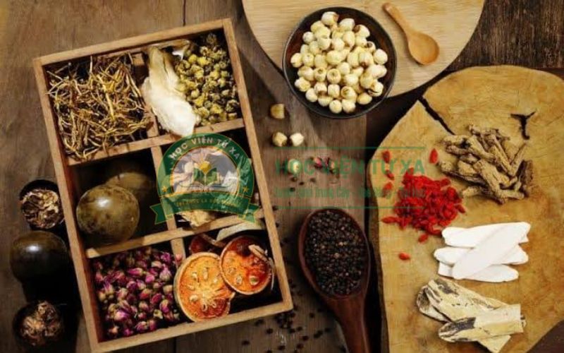 Đăng ký học ngành Y học cổ truyền online ở đâu?