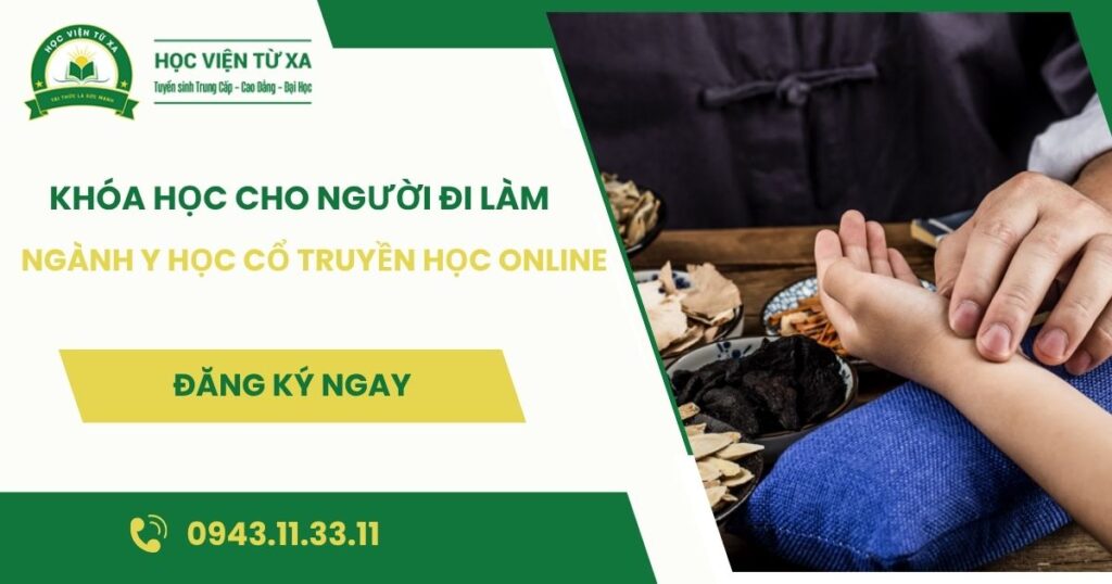 Khóa học ngành Y học cổ truyền học online dành cho người đi làm
