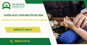 Khóa học ngành Y học cổ truyền học online dành cho người đi làm