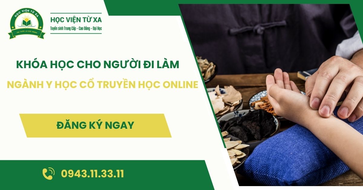 Khóa học ngành Y học cổ truyền học online dành cho người đi làm