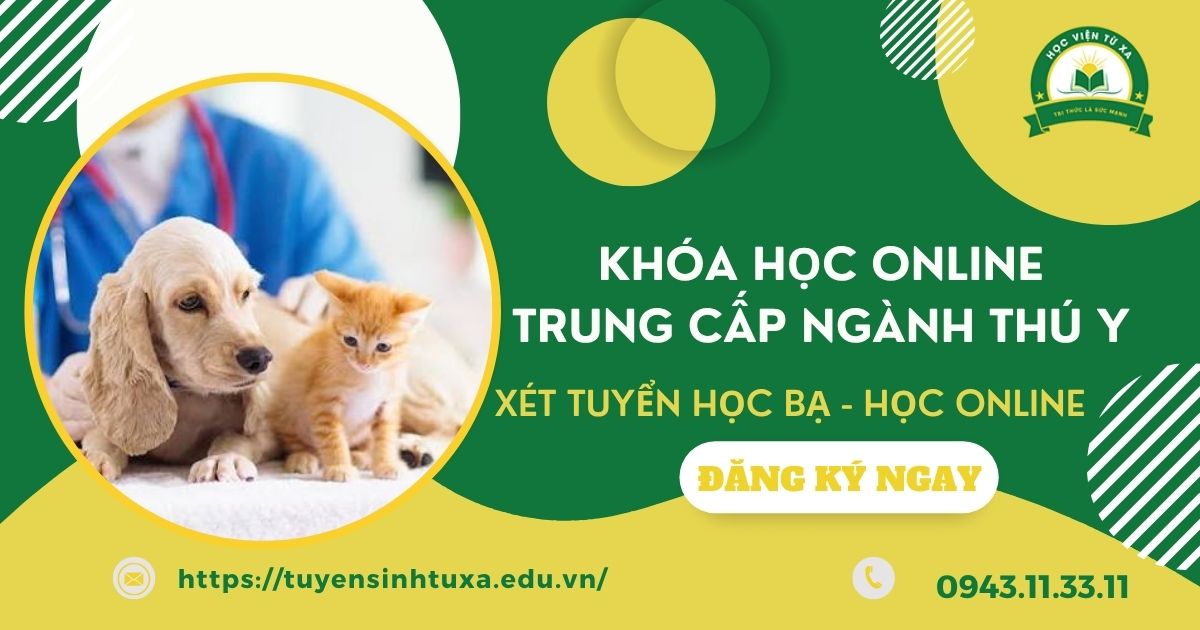 Trường đào tạo ngành Thú Y học online có bằng Chính quy ở đâu?