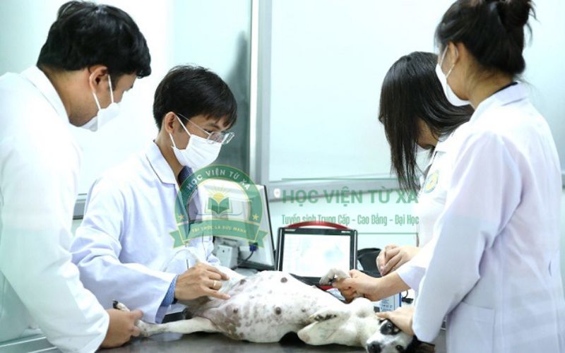Học ngành Thú Y Từ xa