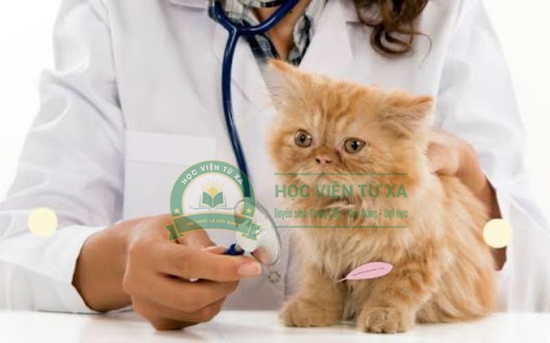 Học văn bằng 2 ngành Thú Y