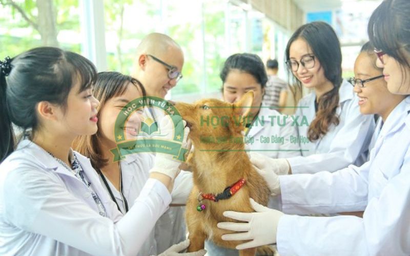 Những ai phù hợp học ngành Thú Y?
